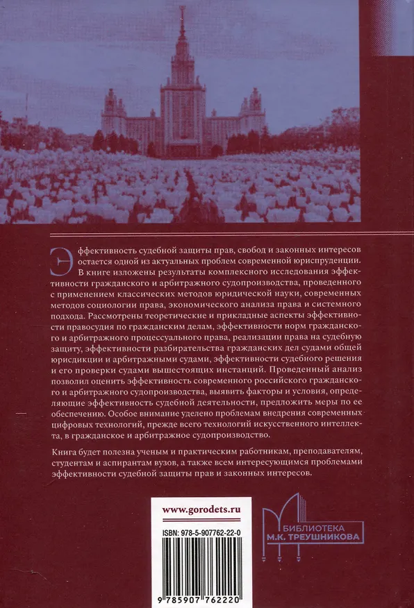 Книга Эффективность гражданского и  арбитражного судопроизводства. Монография (Сергей Курочкин) — 2