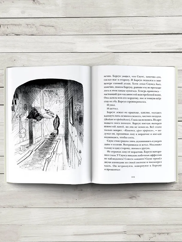 Книга Скунс и Барсук (Эми Тимберлейк) — 7