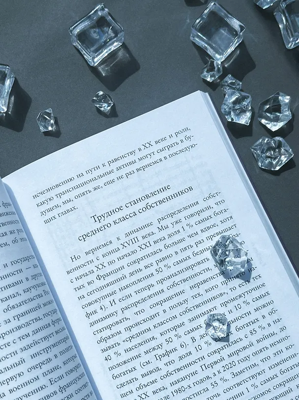 Книга Краткая история равенства (Тома Пикетти) — 13