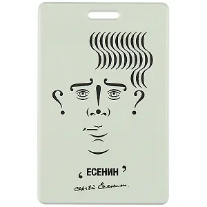 Чехол для карточек Знаковый Есенин (ДГ2021-299)