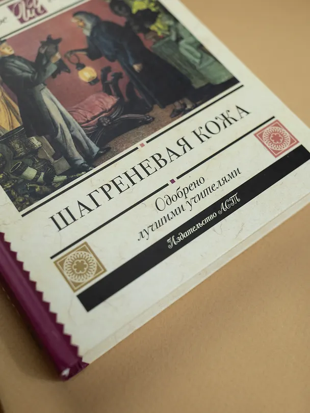 Книга Шагреневая кожа (Оноре де Бальзак) — 9
