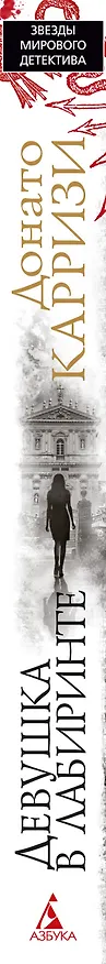 Книга Девушка в лабиринте (Донато Карризи) — 3