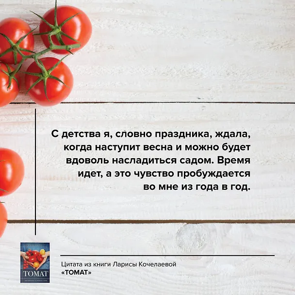 Книга Томат. Выращиваем, ухаживаем и едим (Лариса Кочелаева) — 6