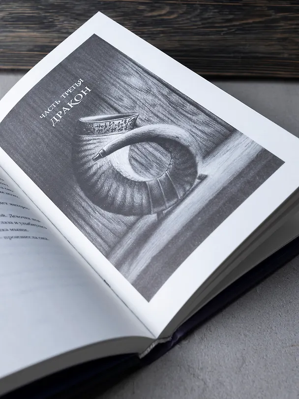Книга Эрагон. Вилка, ведьма и дракон (Кристофер Паолини) — 6