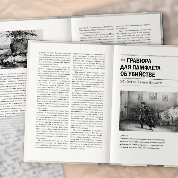 Книга Жуткие артефакты. История громких преступлений, рассказанная в 100 предметах убийств (закрашенный обрез, подарочное издание) (Гарольд Шехтер) — 11