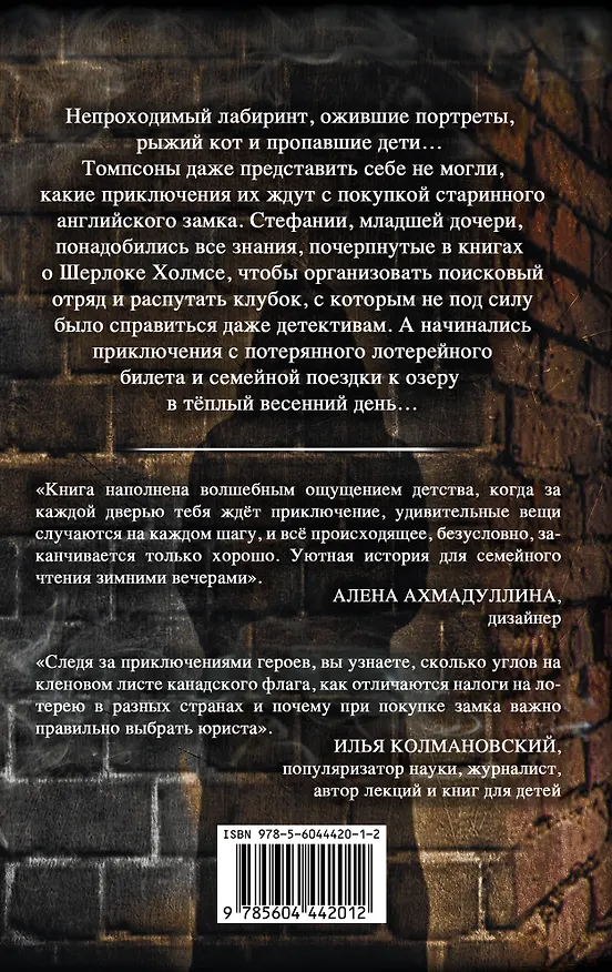 Книга Тайна английского замка. Часть 2 (Сергей Духин, Екатерина Духина) — 2