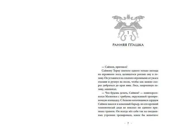 Книга Пять Осколков (#2) (Эйми Картер) — 9