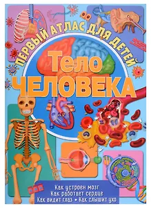 Первый атлас для детей. Тело человека