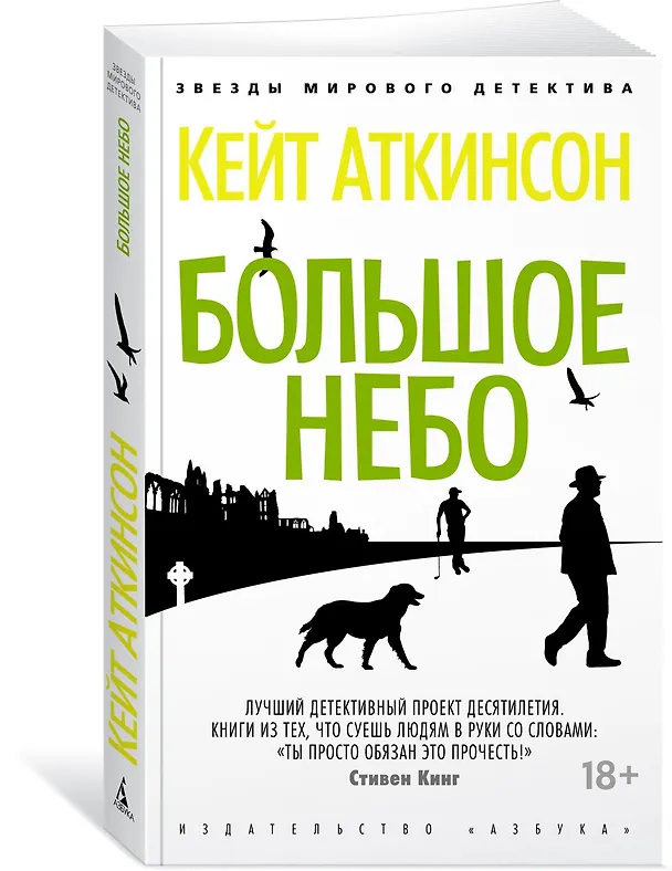 Книга Большое небо (Кейт Аткинсон) — 2