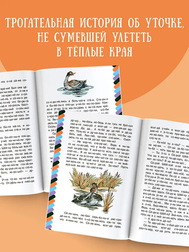 Книга Серая Шейка (Дмитрий Мамин-Сибиряк) — 5