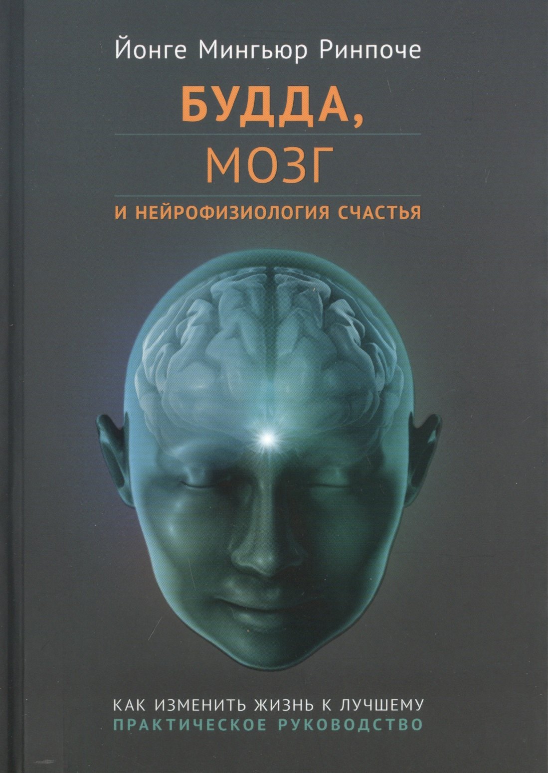 

Будда, мозг и нейрофизиология счастья. Как изменить жизнь к лучшему. Практическое руководство