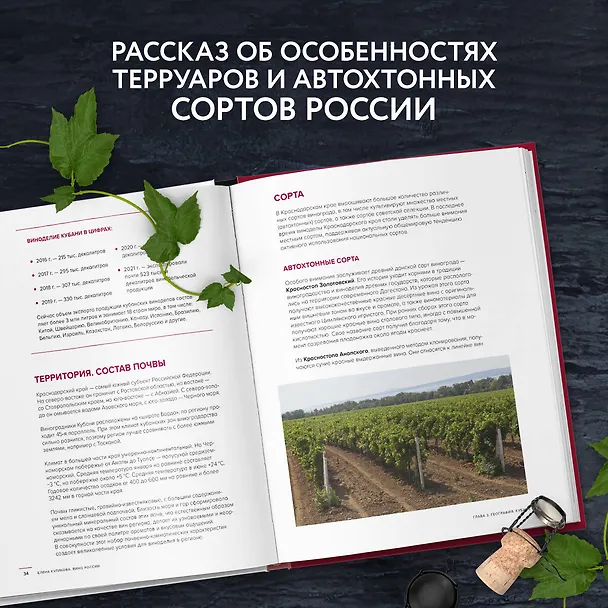 Книга Вино России. История, география, выбор (Елена Куликова) — 8