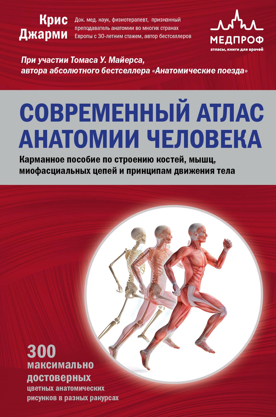 

Современный атлас анатомии человека. Карманное пособие по строению костей, мышц, миофасциальных цепей и принципам движения тела