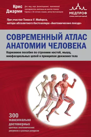 Современный атлас анатомии человека. Карманное пособие по строению костей, мышц, миофасциальных цепей и принципам движения тела — 2964141 — 1