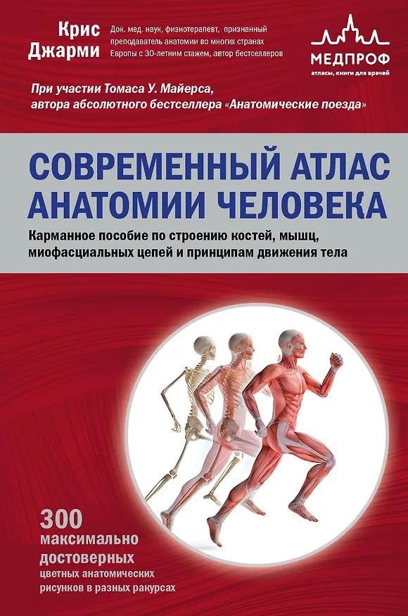 Книга Современный атлас анатомии человека. Карманное пособие по строению костей, мышц, миофасциальных цепей и принципам движения тела (Крис Джарми) — 1