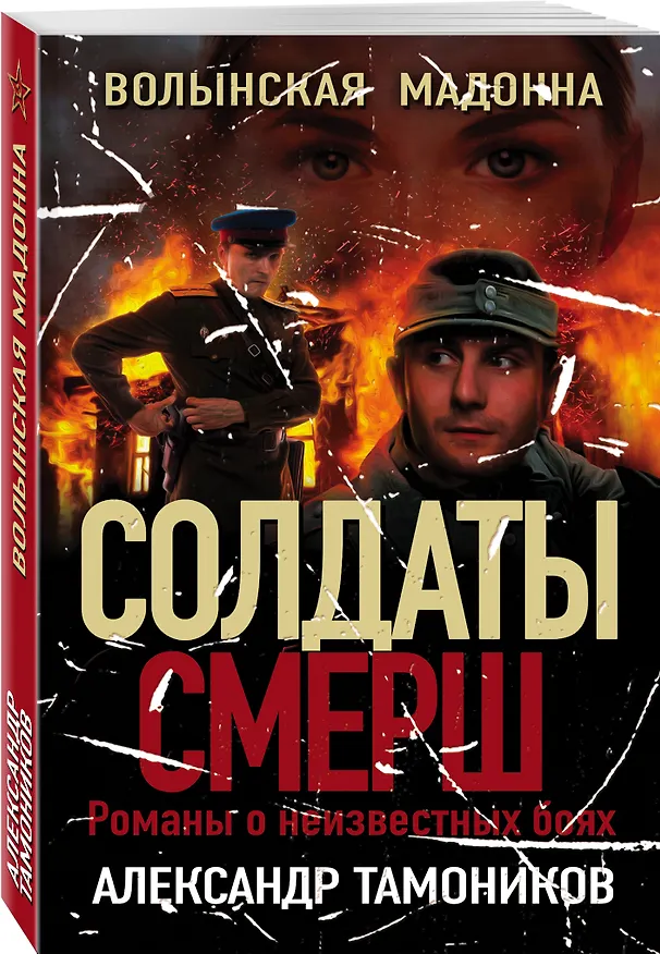 Книга Волынская мадонна (Александр Тамоников) — 4