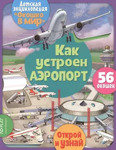 Как устроен аэропорт. 56 окошек
