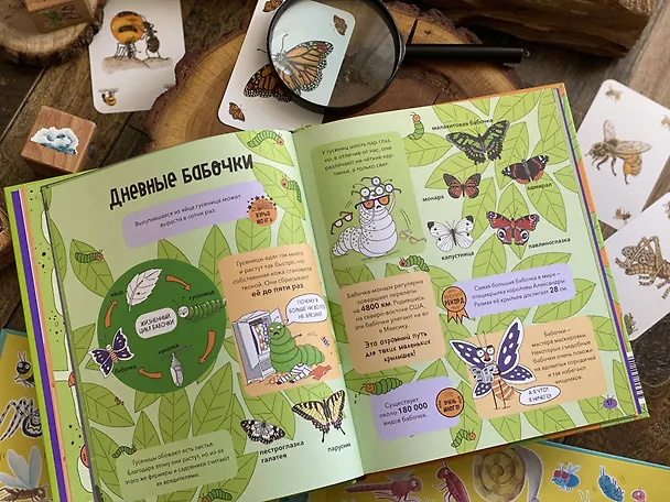 Книга Насекомые и не только. От шмелей до навозных жуков: все ползуче-летучие факты, рекорды и достижения (Нудл Фьюэл) — 12