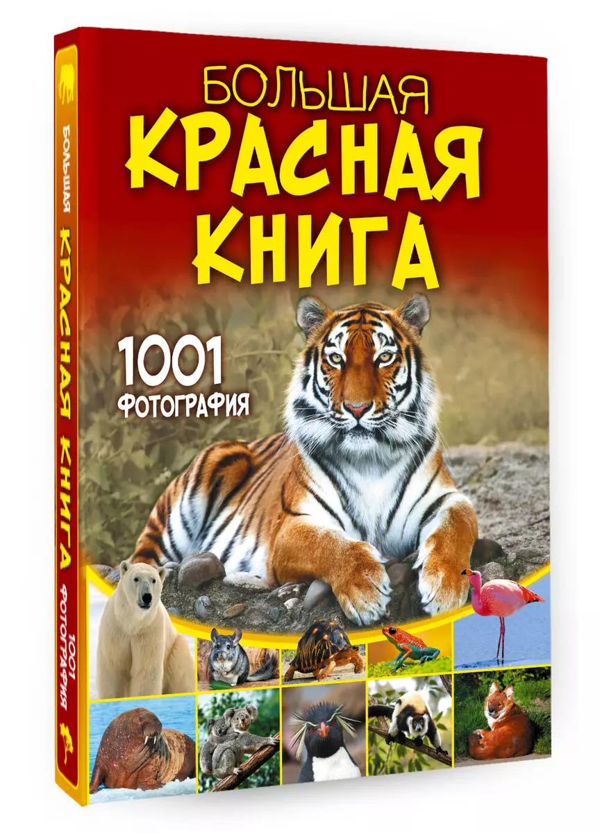 Большая красная книга. 1001 фотография (Анна Спектор) - купить книгу с  доставкой в интернет-магазине «Читай-город». ISBN: 978-5-17-157894-7