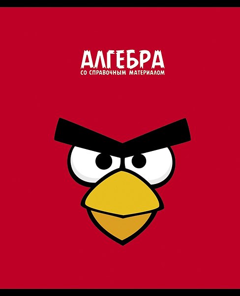 Тетрадь 48л кл. ТЕМА "ANGRY BIRDS" Алгебра выб.лак, справ.мат-лы, Hatber 229154 — 1