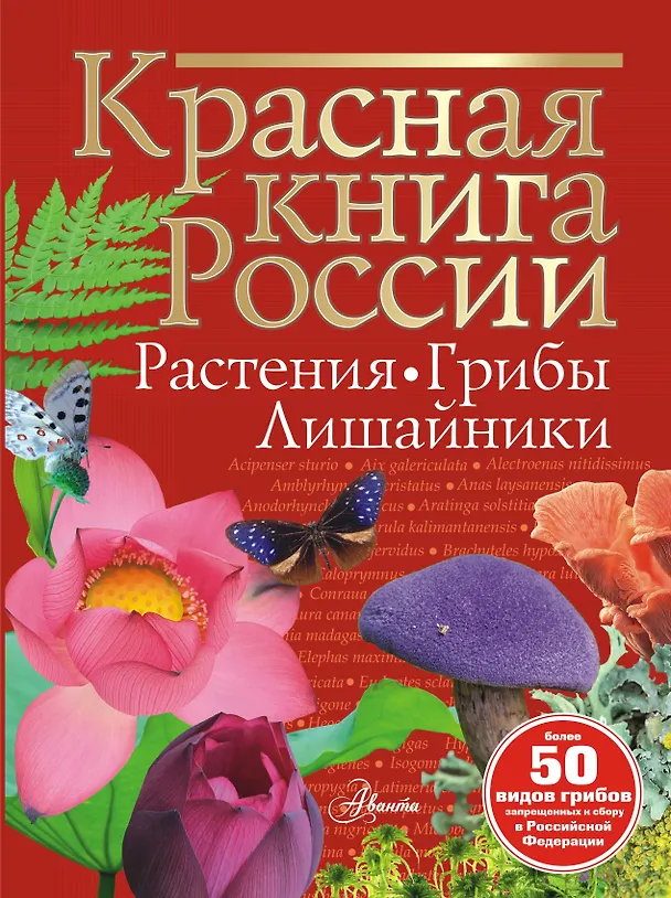 Книга Красная книга России. Растения. Грибы. Лишайники (Ирина Пескова) — 1