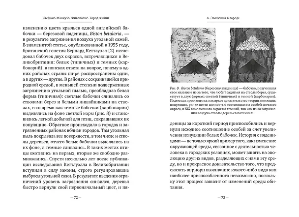Книга Фитополис. Город жизни (Стефано Манкузо) — 17