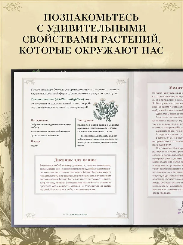 Книга Травы. Магические запасы. Иллюстрированное руководство по сбору и заготовке волшебных растений, их полезным свойствам и сезонным ритуалам (Эбони Георге) — 6