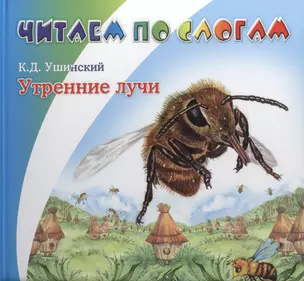 Утренние лучи — 2408941 — 1