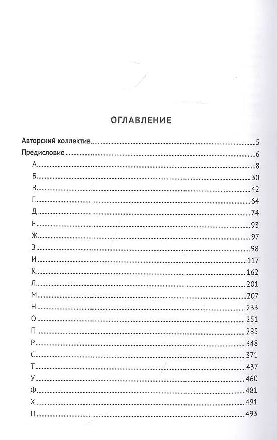 Книга Цифровой мир. Терминологический словарь-справочник в определениях официальных документов (Ильдар Бегишев) — 2