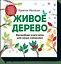 Живое дерево — 2610826 — 1
