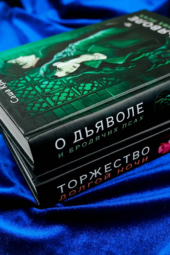 Книга О дьяволе и бродячих псах (Саша Кравец) — 13