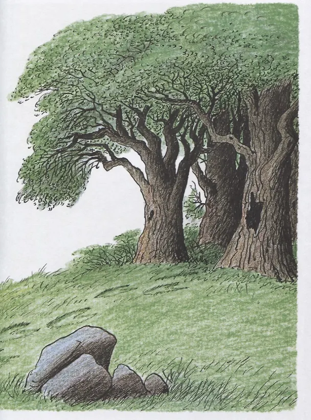 Книга Трусливый Клайд (Билл Пит) — 6
