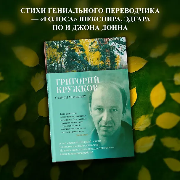 Книга Стансы мотыльку (Григорий Кружков) — 5