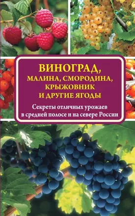 Виноград, малина, смородина, крыжовник и другие ягоды — 2505430 — 1