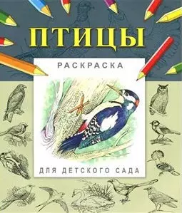 Птицы (мягк) (Раскраска для детского сада). Гецой П. (Русанэк) — 2178640 — 1