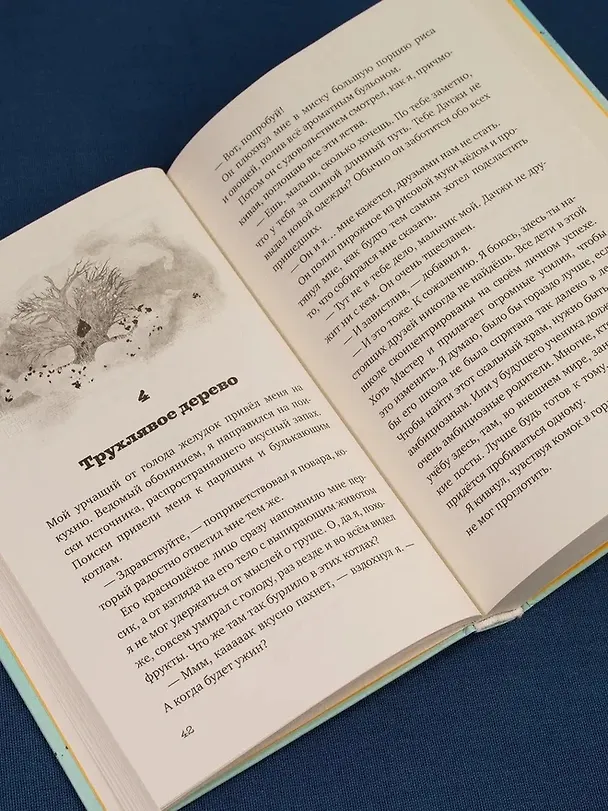 Книга Вуконг. Сердце обезьяны (Сандра Райзер) — 12