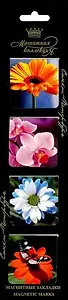 Набор магнитных закладок, 4шт. Цветы НМЗАсс-08