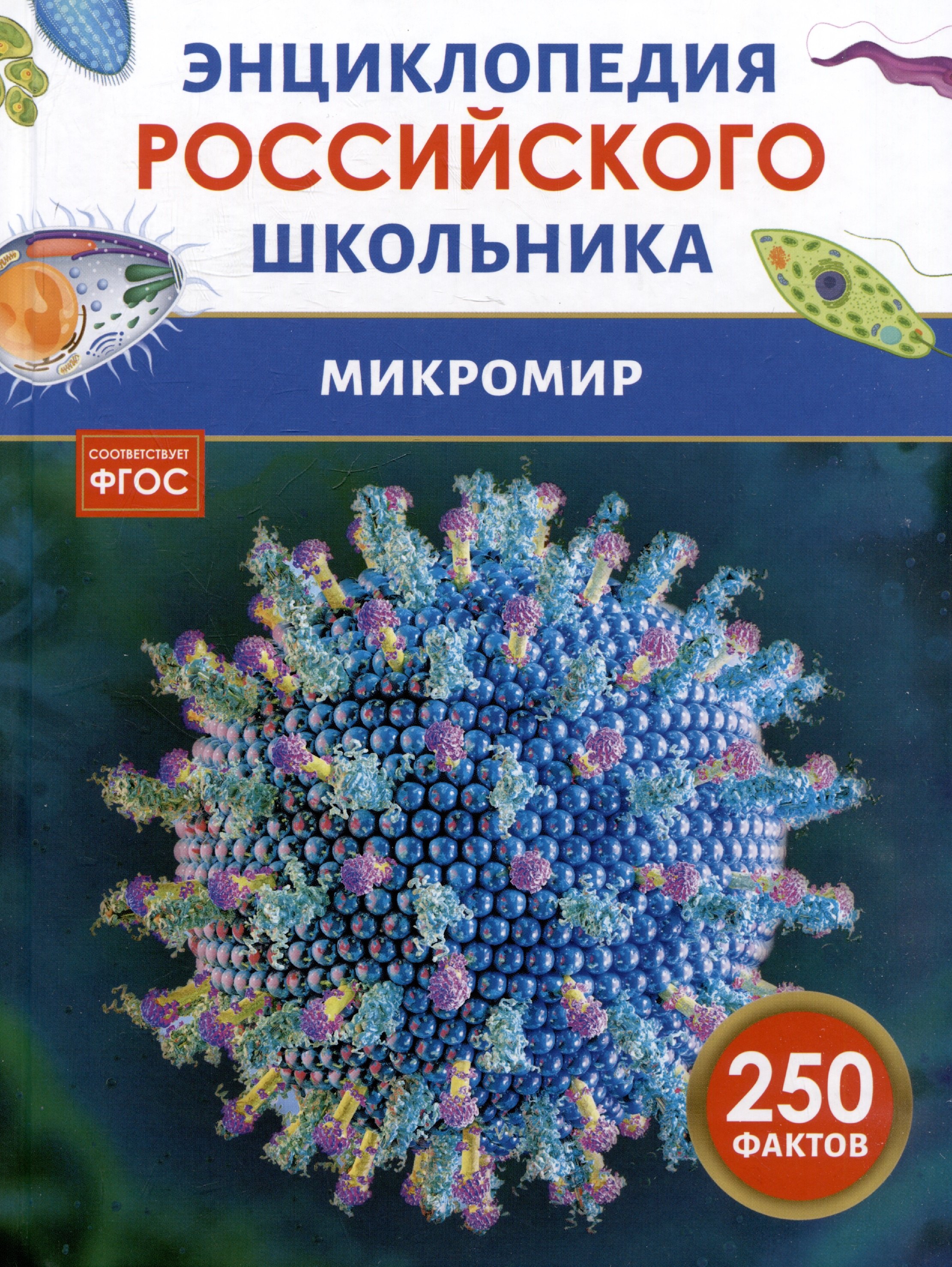 

Микромир. Энциклопедия российского школьника