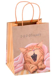 Пакет А4 22,3*18*10 "Happy" дет., бум.мат