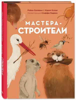 Мастера-строители — 2816356 — 1