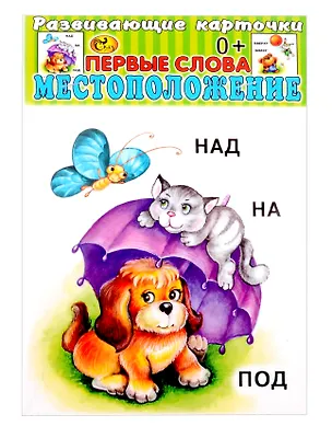 Книга Развивающие карточки Первые слова Местоположение (0+) (12 карточек) ()
