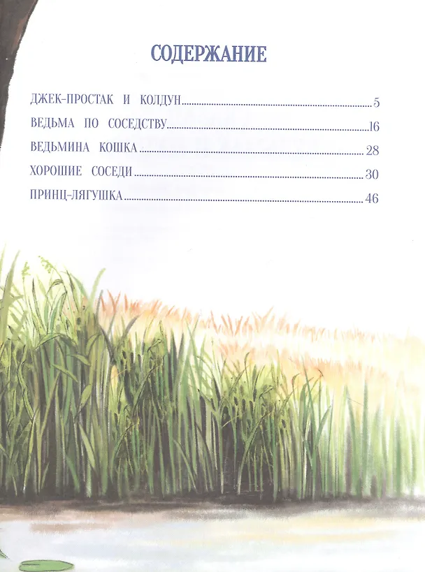 Книга Сказки о ведьмах и колдунах (Джон Пейшенс) — 5