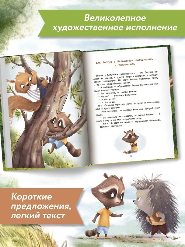 Книга Енотик находит друзей (Ирина Зартайская) — 12