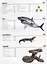 The Animal Book. A Visual Encyclopedia of Life on Earth — 2762154 — 3