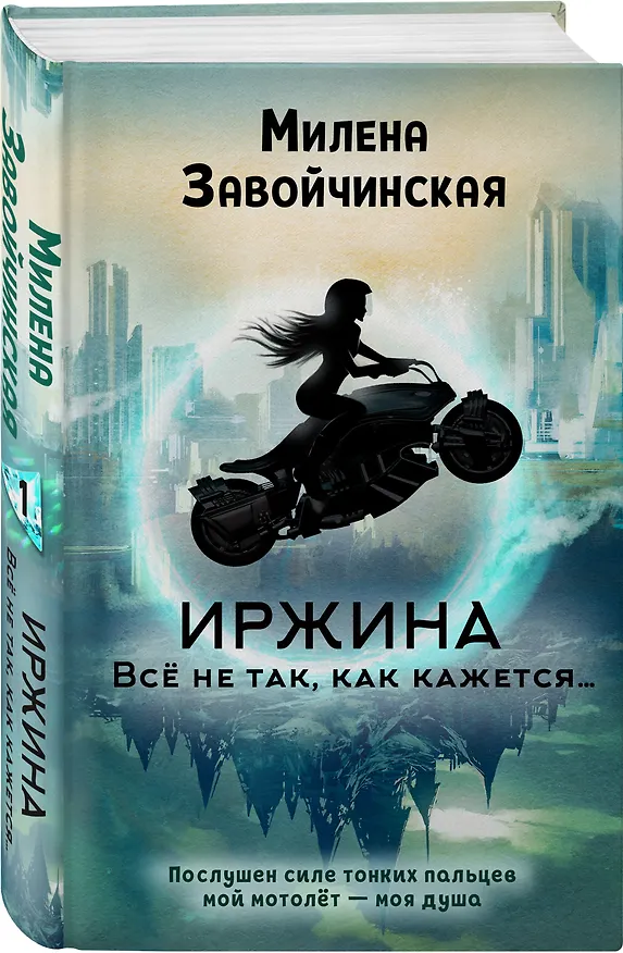 Книга Иржина. Всё не так, как кажется… (Милена Завойчинская) — 4