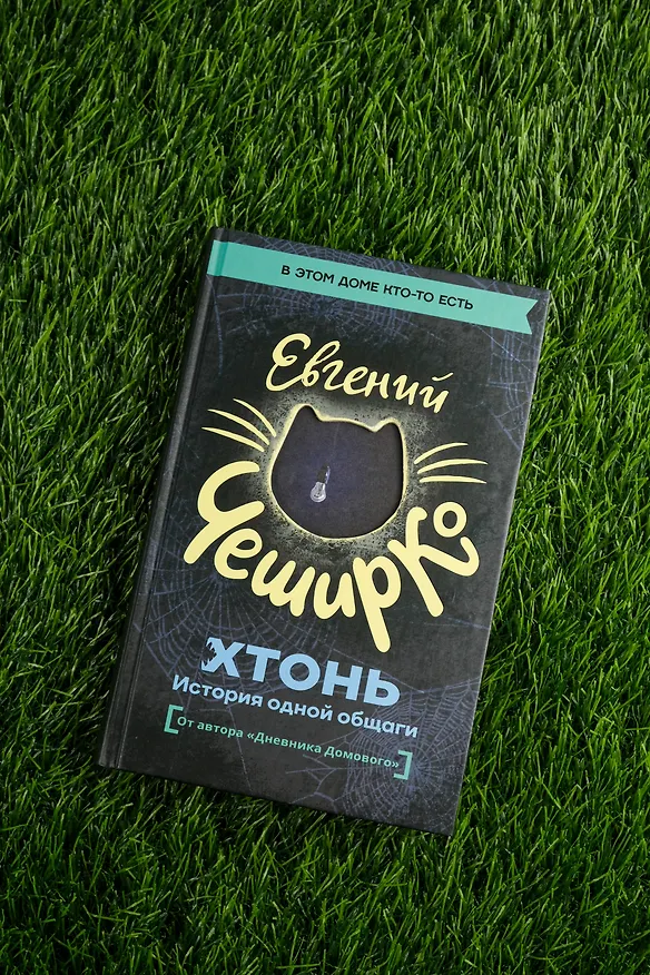 Книга ХТОНЬ. История одной общаги (Евгений ЧеширКо) — 8