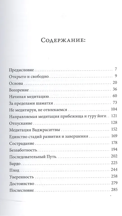 Книга Беззаботное достоинство / Учения о природе ума (Ринпоче Цокньи) — 2