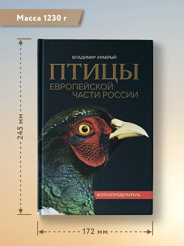 Книга Птицы Европейской части России: фотоопределитель (Владимир Храбрый) — 10