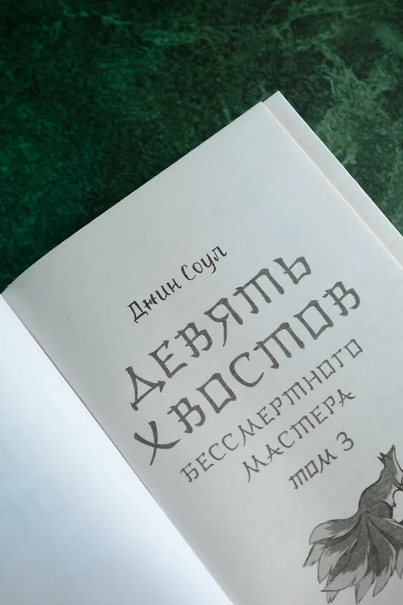 Книга Девять хвостов бессмертного мастера. Том 3 (Джин Соул) — 10