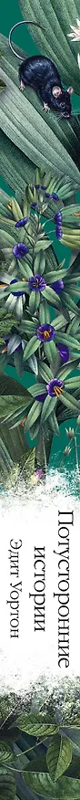 Книга Потусторонние истории (Эдит Уортон) — 3